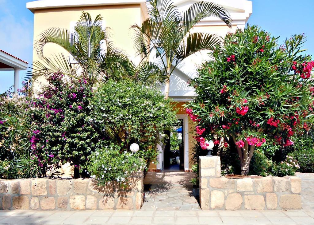 Rododafni Villas Klorakas Ruang foto