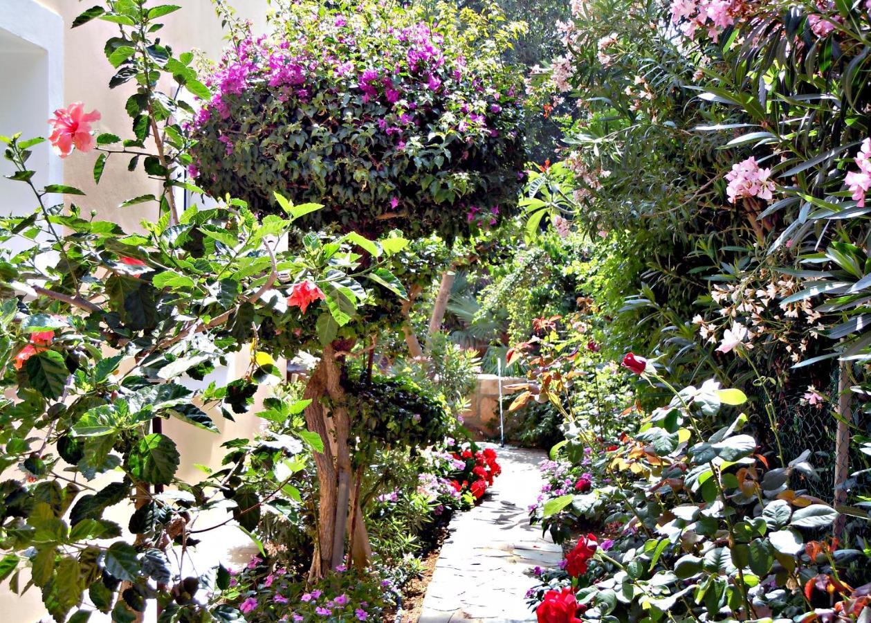 Rododafni Villas Klorakas Bagian luar foto
