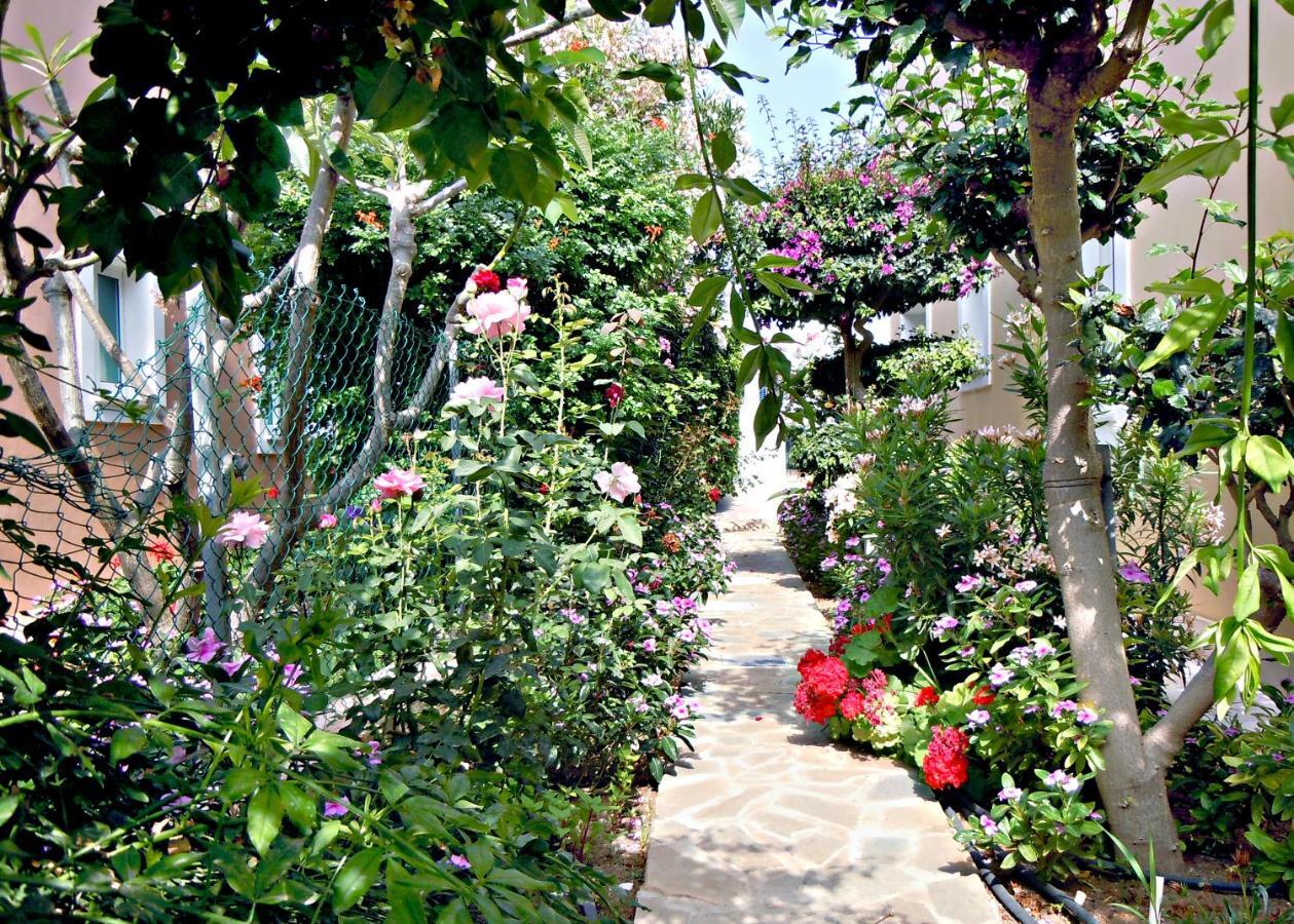 Rododafni Villas Klorakas Bagian luar foto